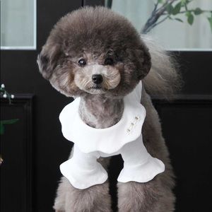 Toto and Roy dog t-shirt